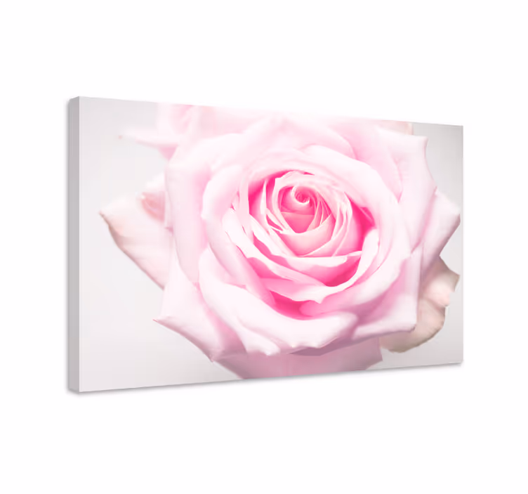 Cuadro de flores Elegante diseño de rosa grande - TenVinilo