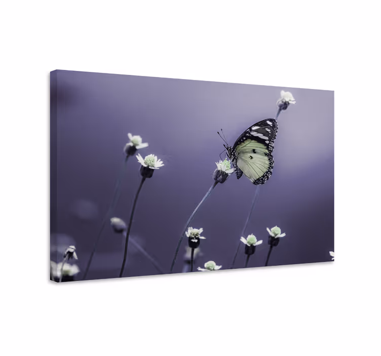 Cuadro mariposas Elegante diseño de flor de mariposa - TenVinilo