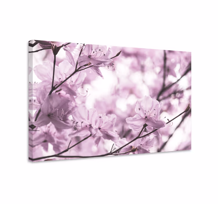 Cuadro de flores flores florales delicadas - TenVinilo
