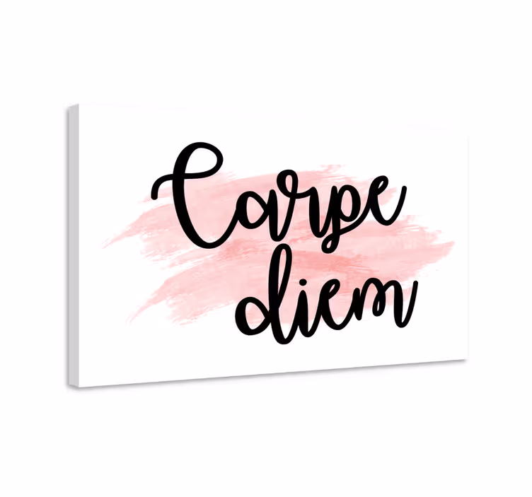 Cuadro frase aprovecha el día inspiración - TenVinilo