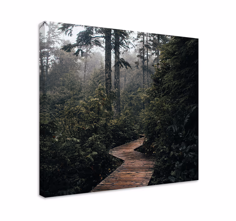 Cuadro árboles Camino "naturaleza" en el bosque - TenVinilo