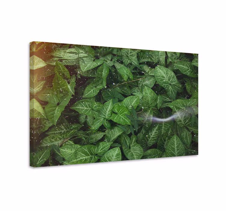Cuadro de flores hojas verdes vibrantes - TenVinilo