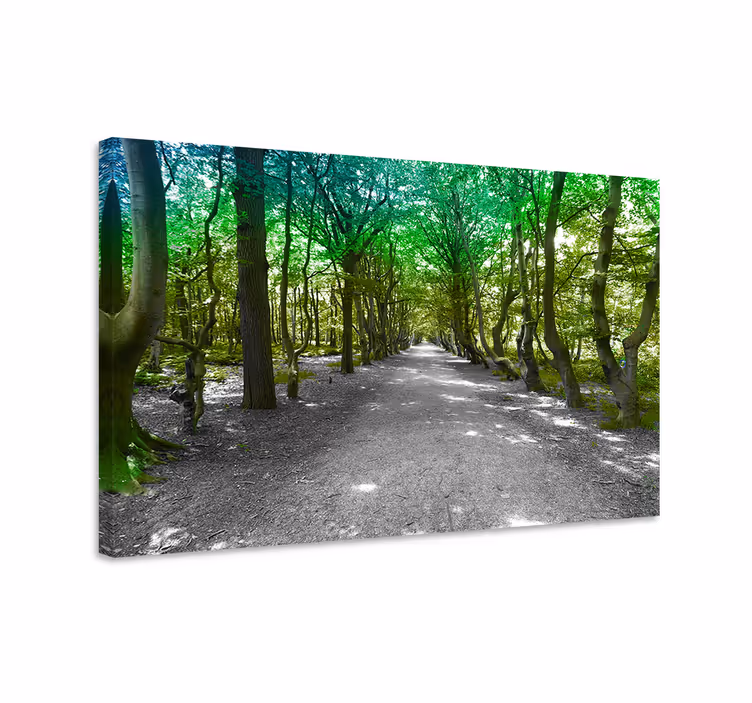 Cuadro de árboles sendero del bosque verde - TenVinilo
