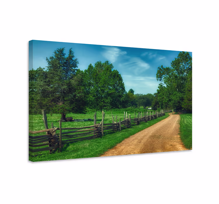 Cuadro paisajes Verano verde arboles camino forestal - TenVinilo