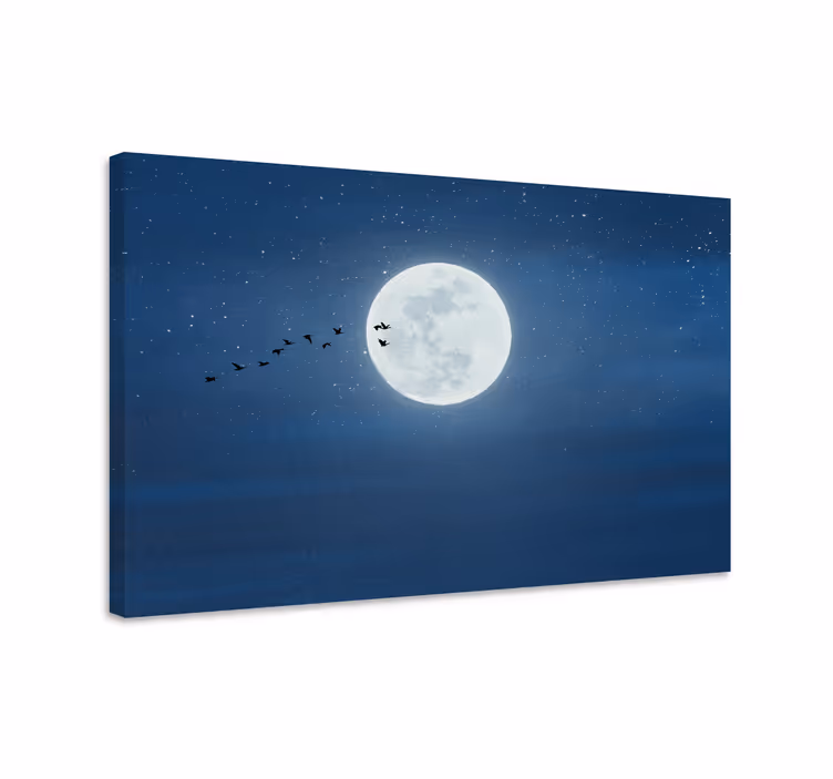 Cuadro paisajes vuelo a la luz de la luna - TenVinilo