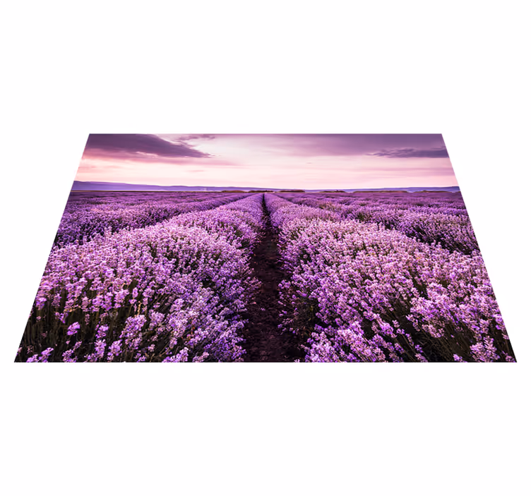 Alfombra vinílica lila flores de lavanda en provenza - TenVinilo