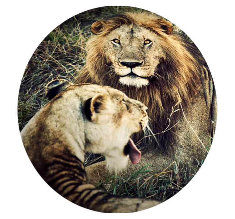 Alfombra vinílica de animales majestuosa pareja de leones - TenVinilo
