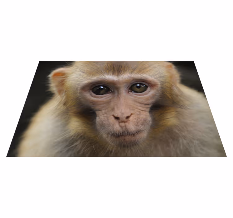 Alfombra vinílica de animales cara de mono bebé - TenVinilo