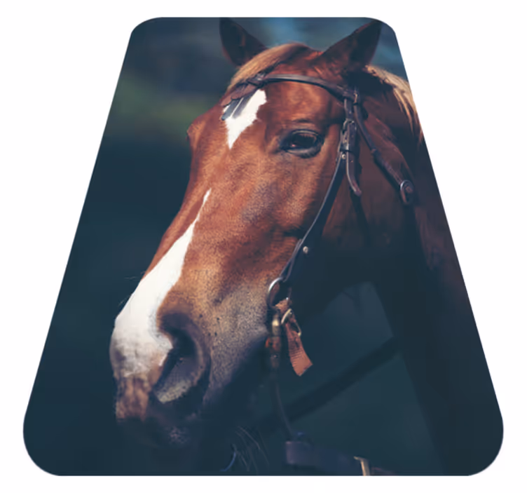 Alfombra vinílica de animales majestuosa cabeza de caballo - TenVinilo