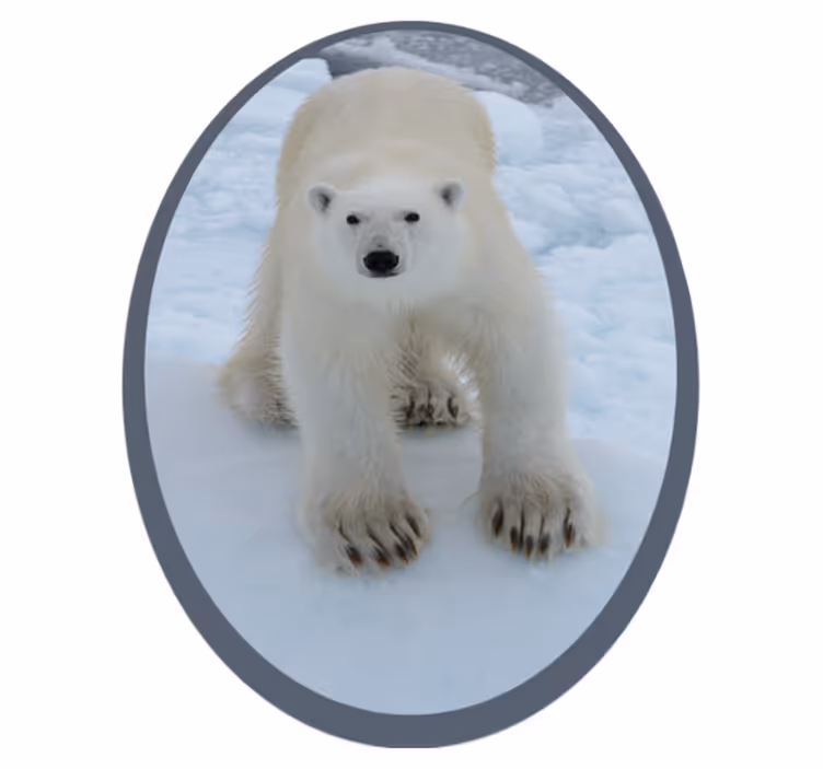 Alfombra vinílica de animales imagen del oso polar - TenVinilo