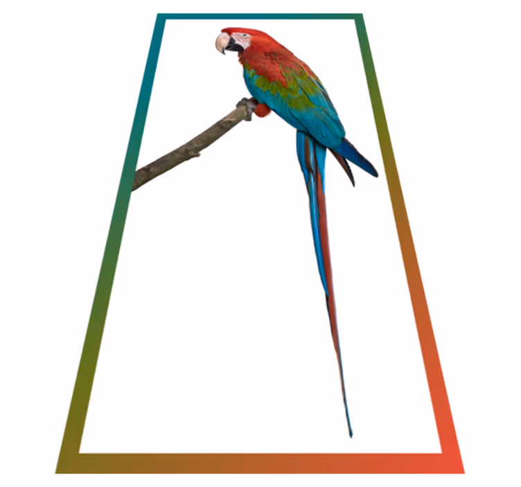 Alfombra vinílica de animales guacamayo colorido - TenVinilo