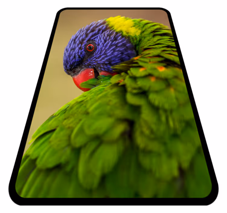 Alfombra vinílica de animales retrato colorido de loro - TenVinilo