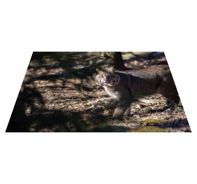 Alfombra vinílica de animales escena de gato salvaje - TenVinilo