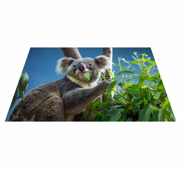 Alfombra vinílica de animales koala en la naturaleza - TenVinilo