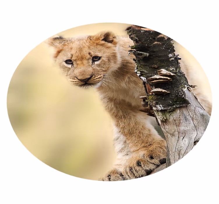 Aflombra vinílica animales Tigre lindo animal - TenVinilo