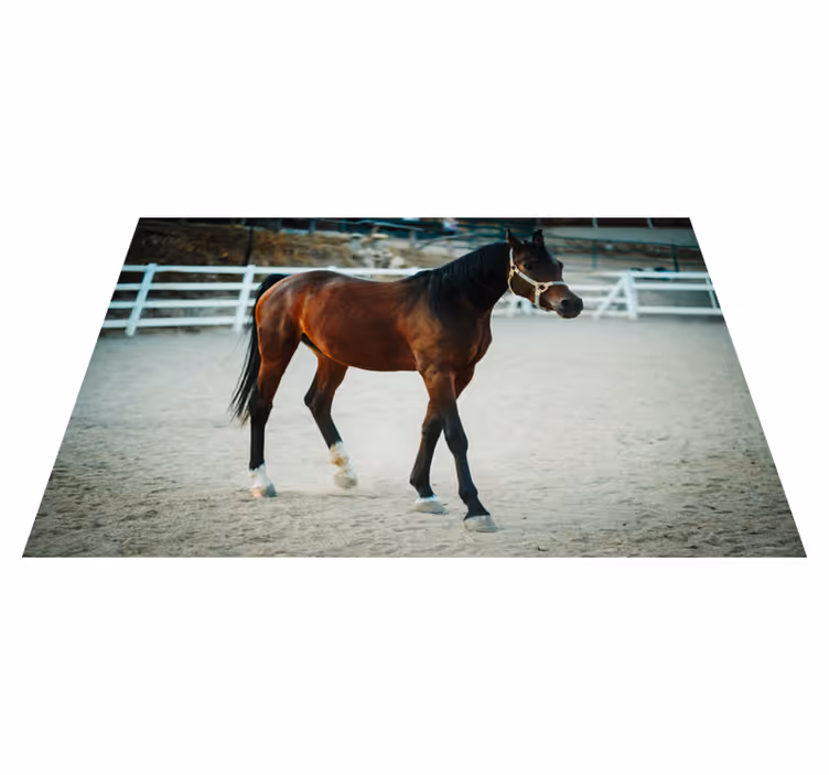 Alfombra vinílica de animales majestuoso retrato de caballo - TenVinilo