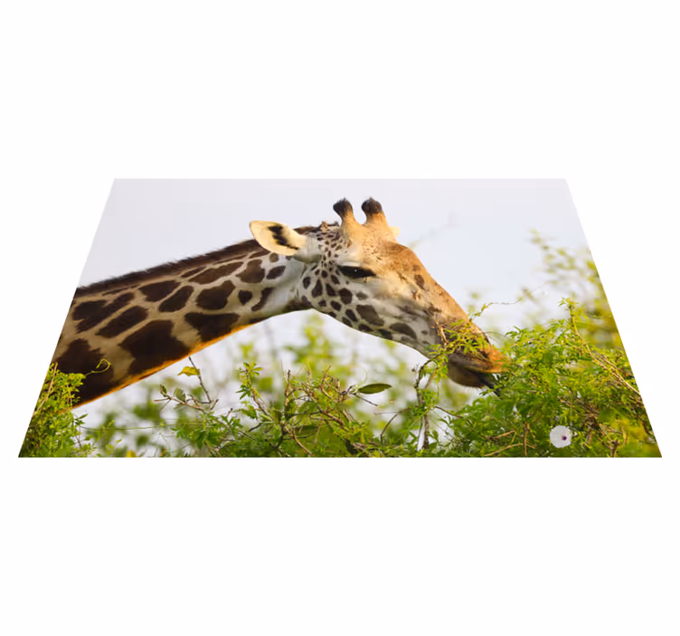 Alfombra vinílica de animales jirafa comiendo verduras - TenVinilo