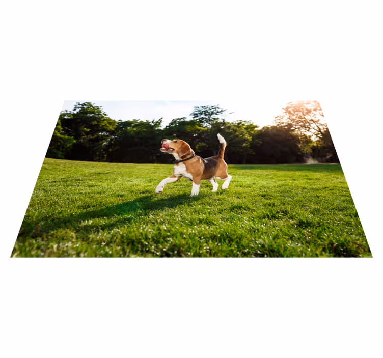 Alfombra vinílica de animales beagle feliz corriendo - TenVinilo