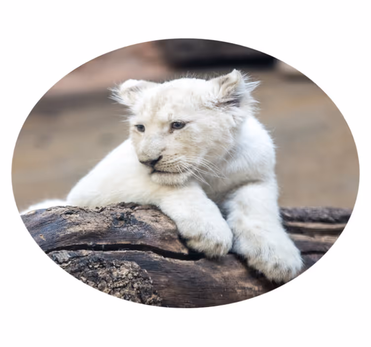 Alfombra vinílica de animales cachorro de león blanco - TenVinilo