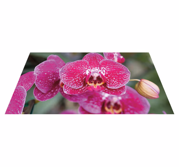 Alfombra vinílica flores orquídeas vibrantes - TenVinilo