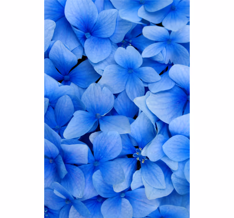 Papel tapiz para sala patrón de pétalos de hortensia - TenVinilo