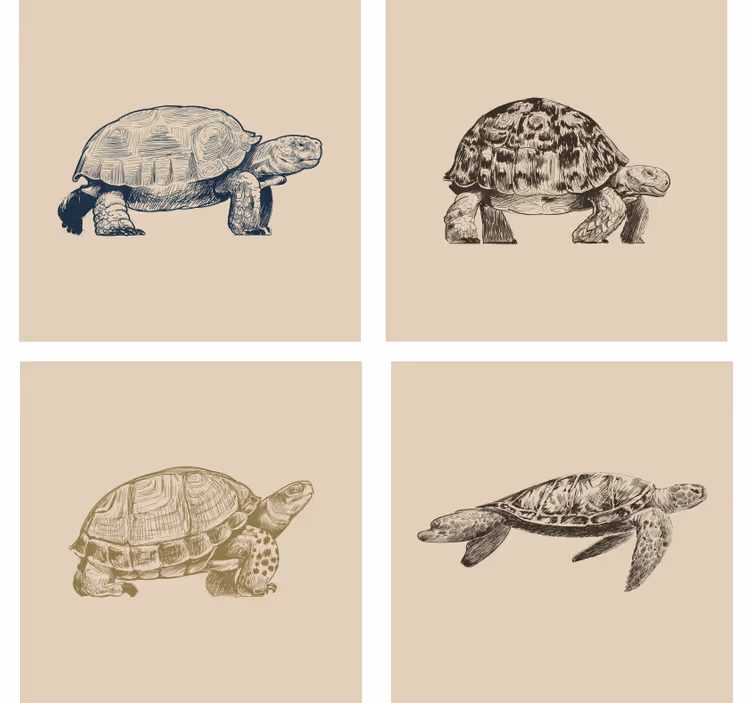 Papel tapiz vintage fondo de tortugas beige - TenVinilo