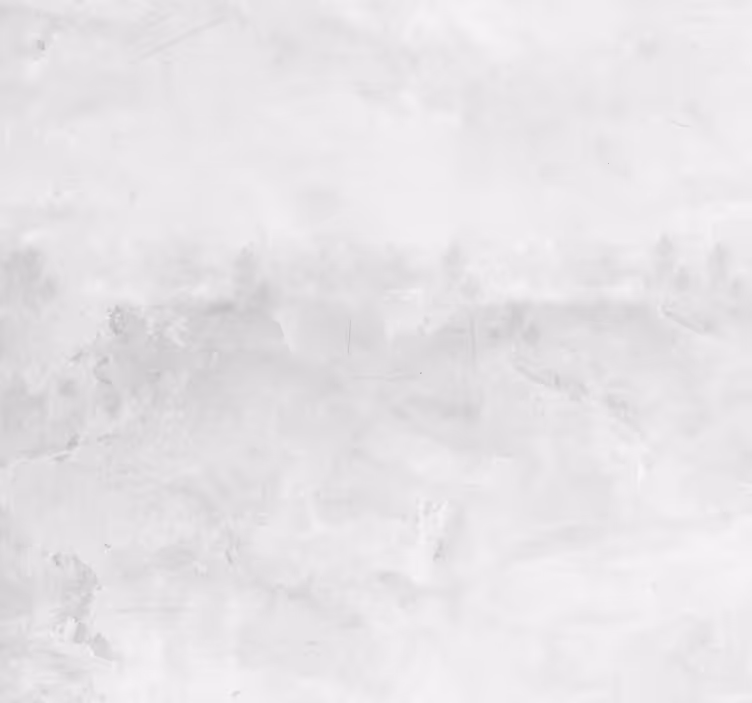 Papel pintado ladrillo blanco moderno - TenVinilo