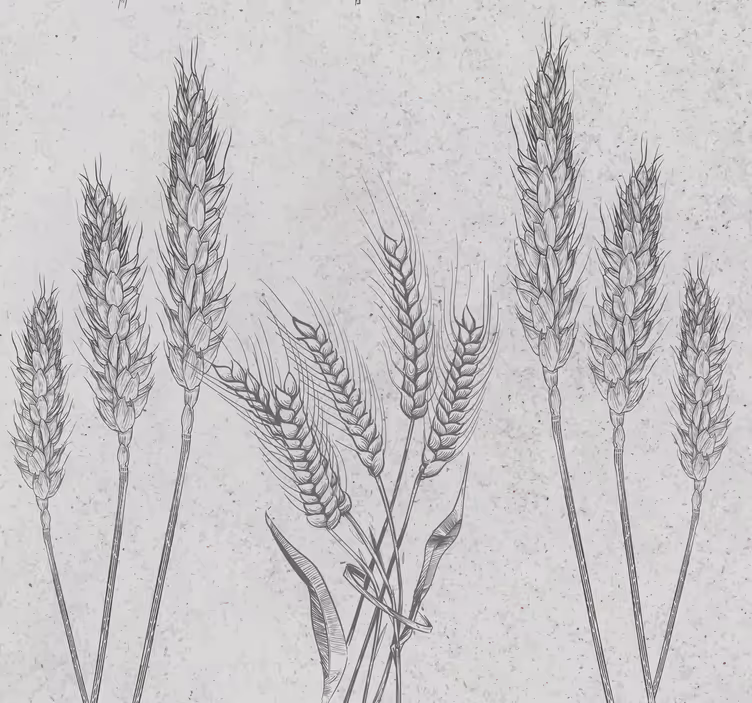 Papel pintado recibidor espigas de trigo - TenVinilo