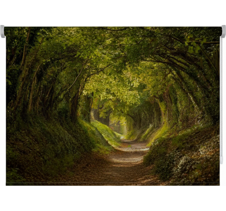 Cortina roller árboles camino verde - TenVinilo