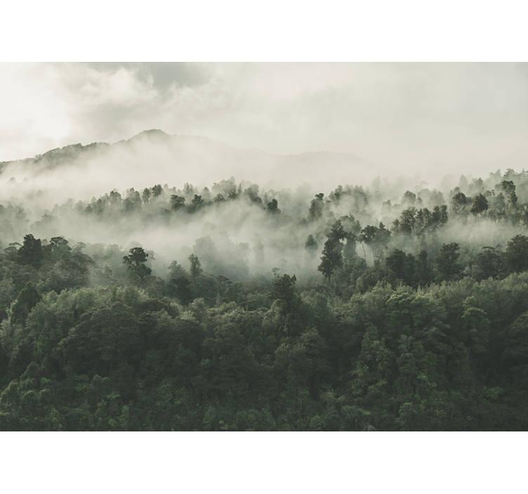 Cortina roller cocina bosque con niebla desde arriba - TenVinilo