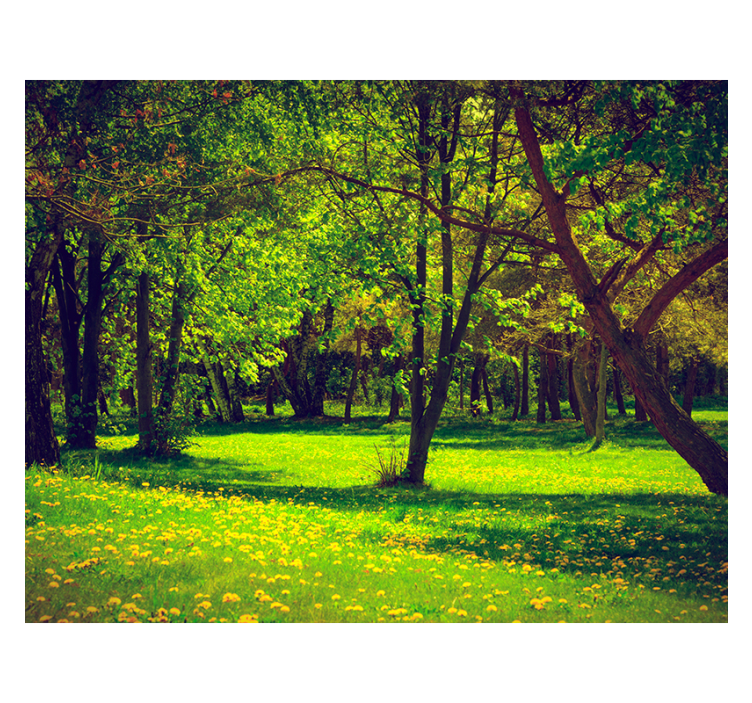 Cortina roller verde vista serene del bosque - TenVinilo