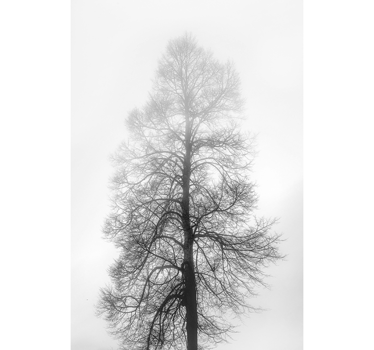 Estor enrollable salón gris árbol de invierno - TenVinilo