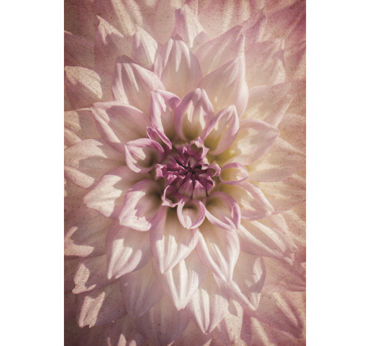 Cortina roller flores delicada floración - TenVinilo