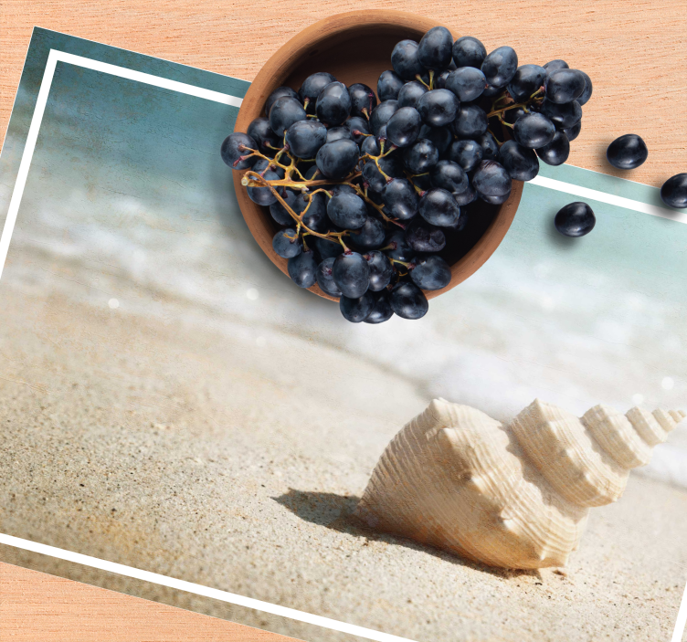 Individual original mesa exhibición elegante de conchas - TenVinilo