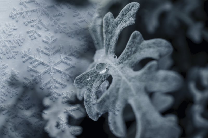 Manteles individuales originales Hojas heladas - TenVinilo