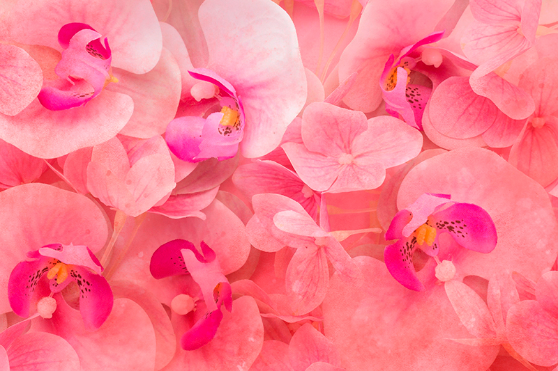 Manteles individuales elegantes Flores rosadas con un centro amar - TenVinilo
