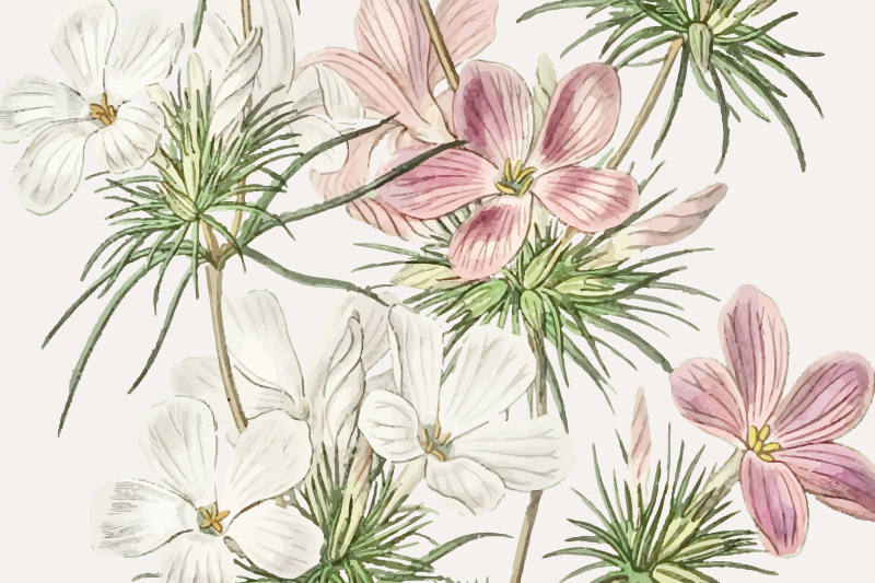 Individual original mesa arreglo botánico floral - TenVinilo