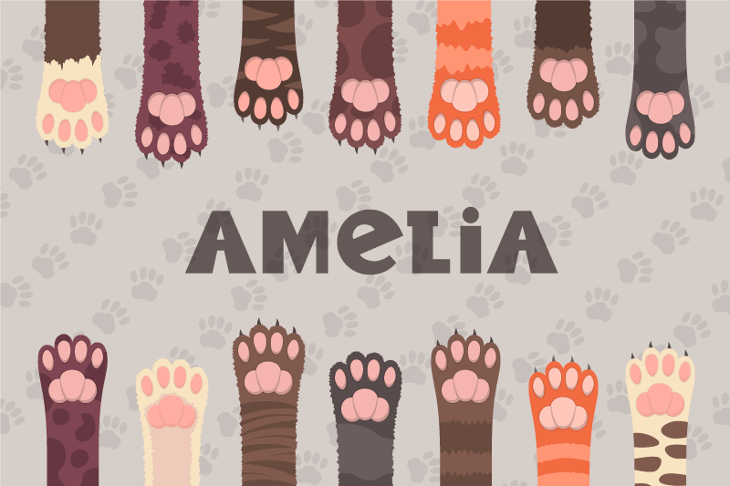 Mantel individual con nombre Patas de gatos multicolores esponjos - TenVinilo