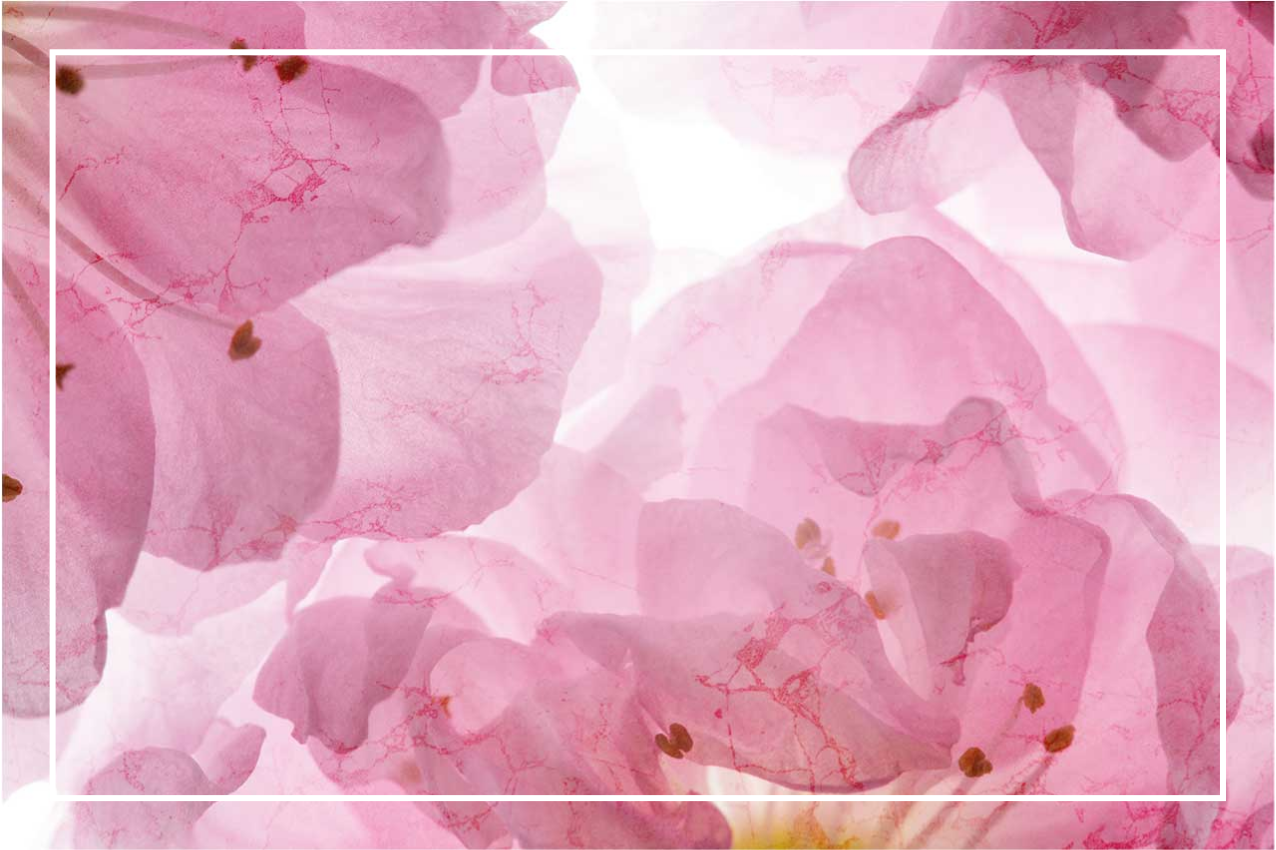 Mantel individual original Flores rosadas con hojas - TenVinilo