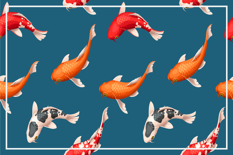 Individual original mesa patrón de peces koi coloridos - TenVinilo
