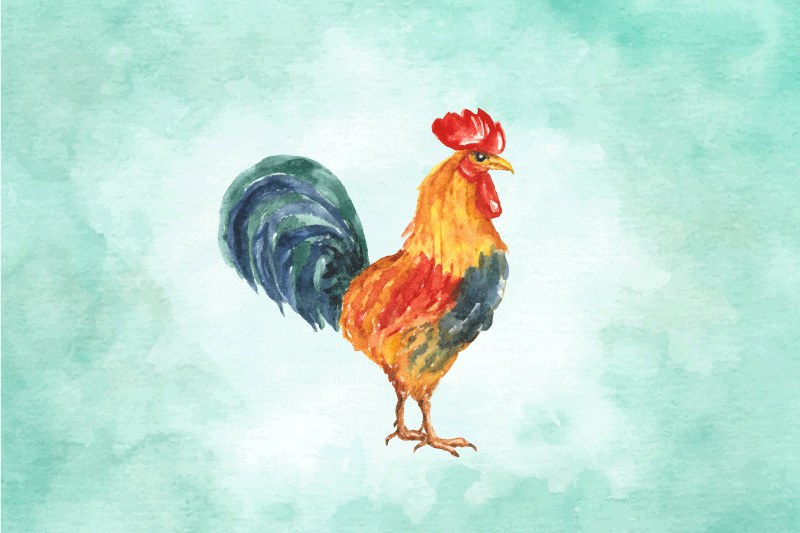 Individual original mesa ilustración de gallo colorido - TenVinilo