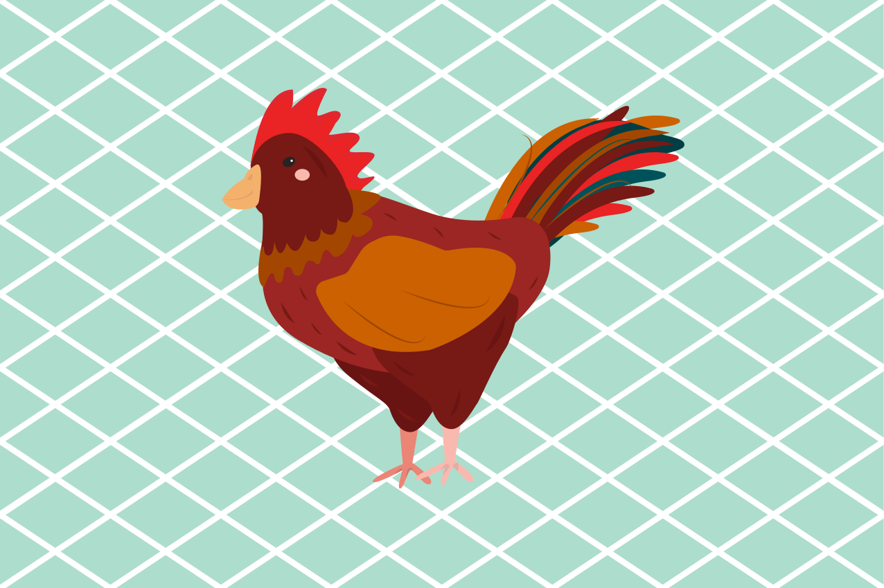 Individual original mesa ilustración de gallo encantador - TenVinilo