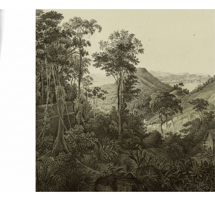 Mural de bosque impresión de bosque en colinas - TenVinilo