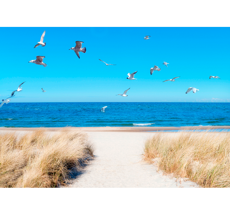 Papel pintado paisaje camino hacia la playa - TenVinilo