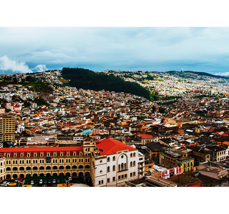 Fotomural ciudad Ciudad de loja - TenVinilo