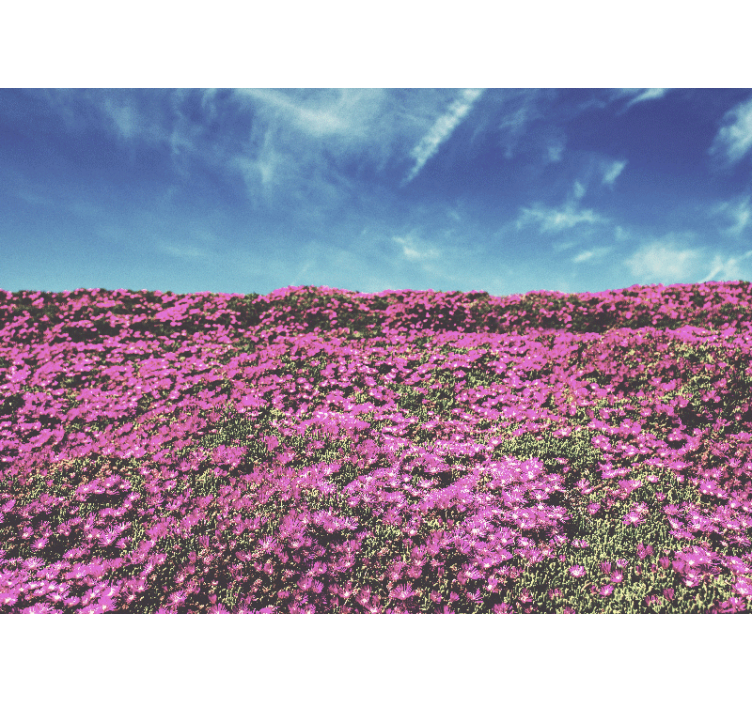Mural de flores ramos de color rosa vibrante - TenVinilo