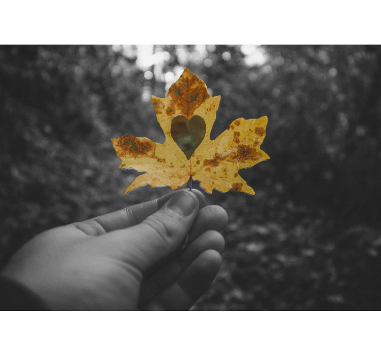 Mural de naturaleza hoja en forma de corazón - TenVinilo