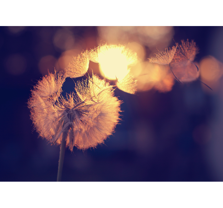 Fotomural diente de león Diseño de diente de león - TenVinilo