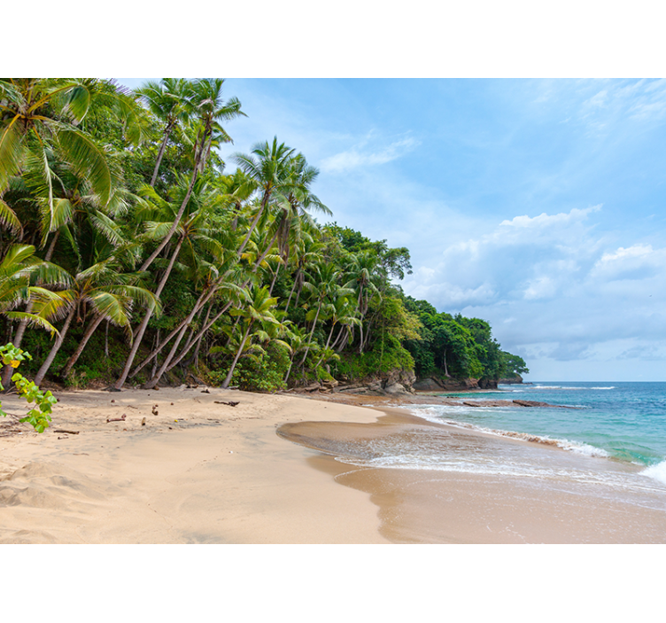 Mural de naturaleza oasis de la costa tropical - TenVinilo