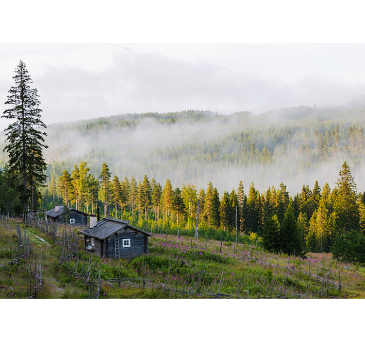 Fotomural de bosque Colorido bosque brumoso - TenVinilo